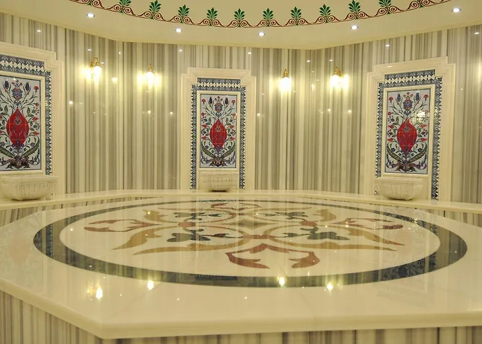 ホテル Meyra Palace