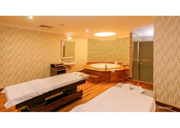 호텔 Meyra Palace 앙카라