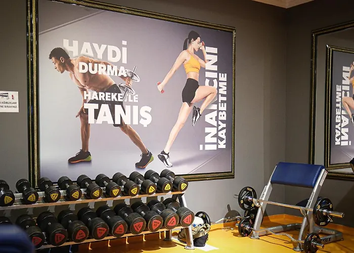 梅林宫酒店 安卡拉